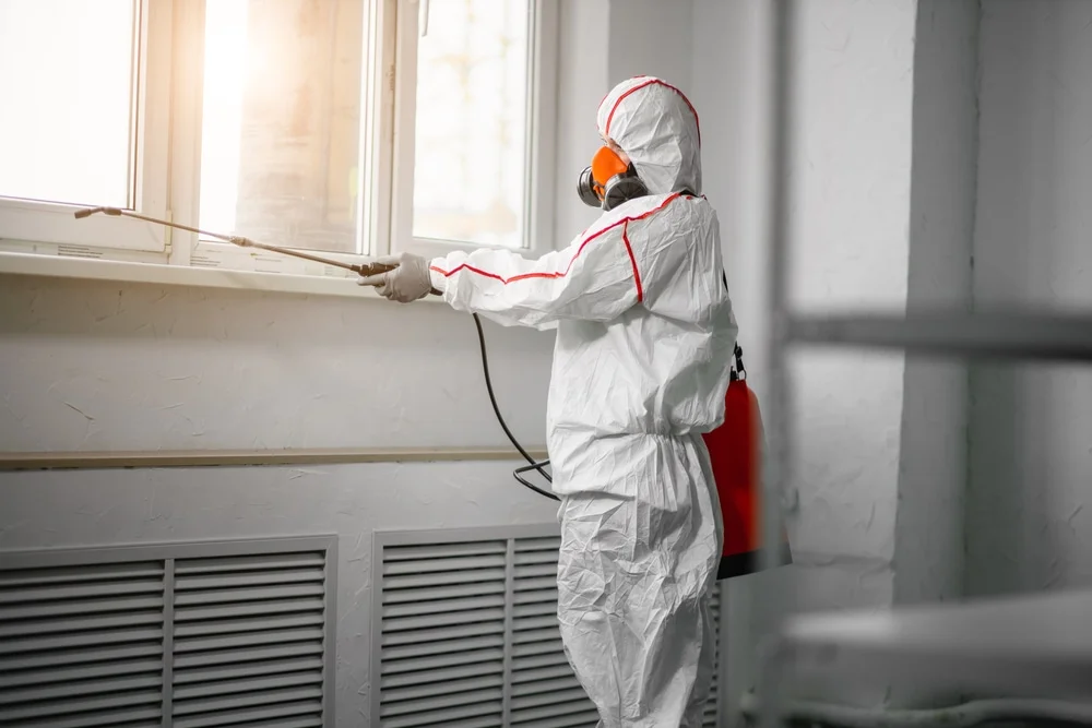 Professional mold remediation services in West Long Branch, NJ